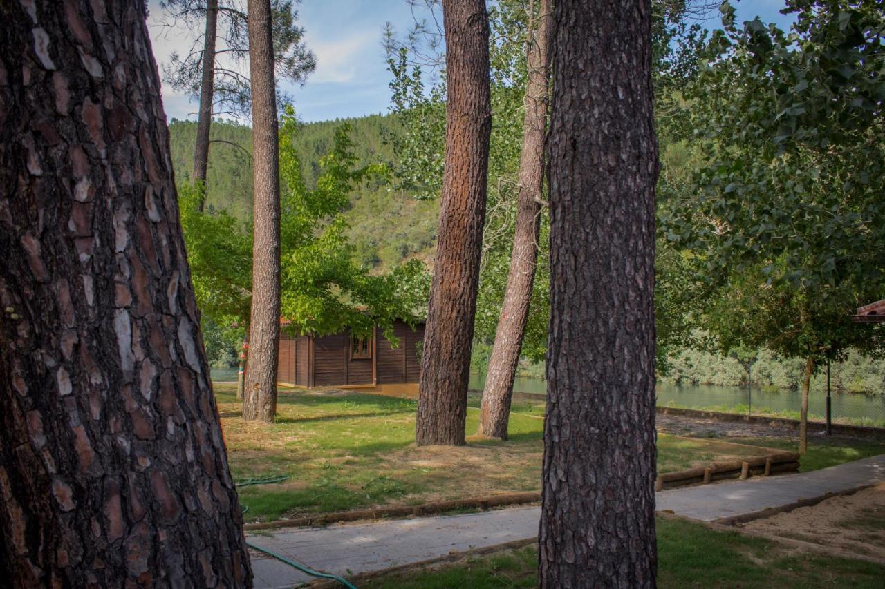 xisto camping Janeiro de Baixo Exterior foto